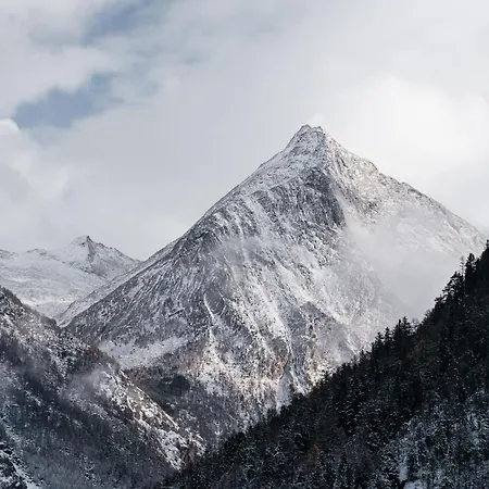 Waldhotel Fletschhorn Saas-fee Hotel 4*