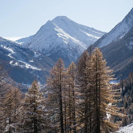 Waldhotel Fletschhorn Panoramic Retreat In Fee 酒店 萨斯格伦德