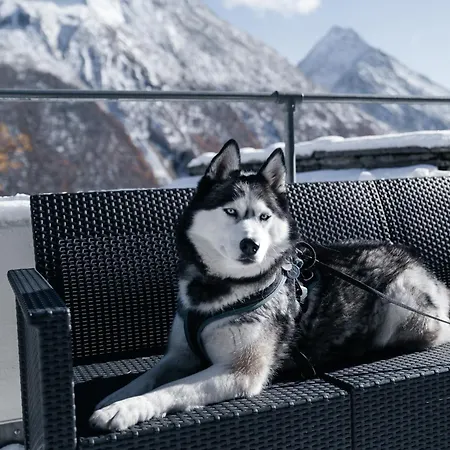 ホテル Waldhotel Fletschhorn Panoramic Retreat In Fee ザース・グルント