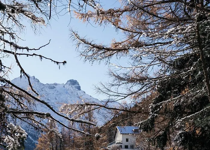 Waldhotel Fletschhorn Private Whole Hotel In Saas-Fee 360 Alpine Views & Sauna Отель 4*