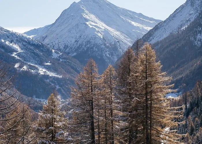 Waldhotel Fletschhorn Private Whole Hotel In Saas-Fee 360 Alpine Views & Sauna Отель Саас-Грунд