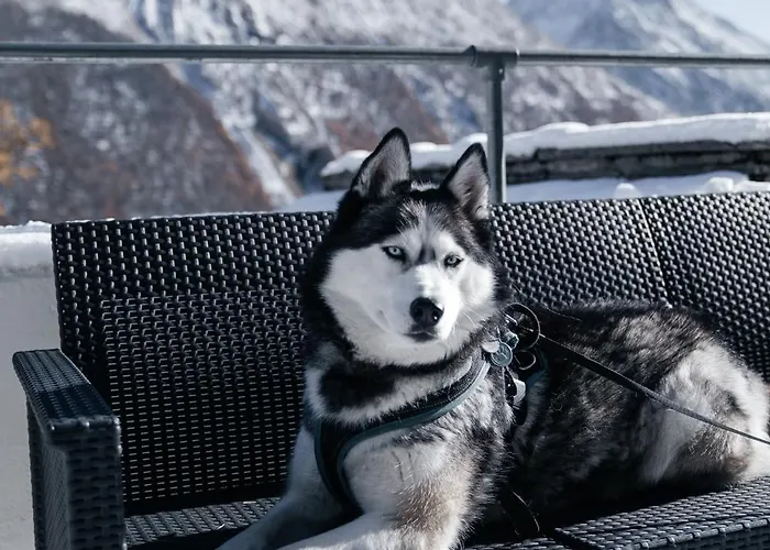 Hotel Waldhotel Fletschhorn Saas-fee Saas-Grund