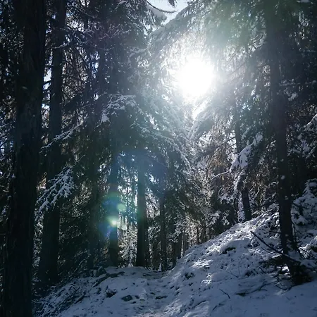 Waldhotel Fletschhorn Panoramic Retreat In Fee 4*